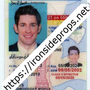 Delaware Driver License(New DE U21)