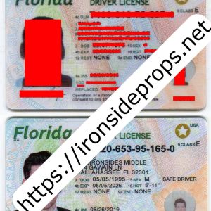 Florida Driver License(New FL O21 V1)