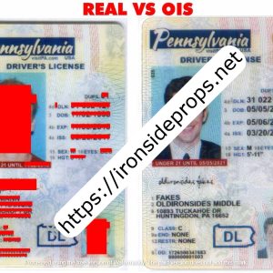 Pennsylvania Driver License(New PA U21)