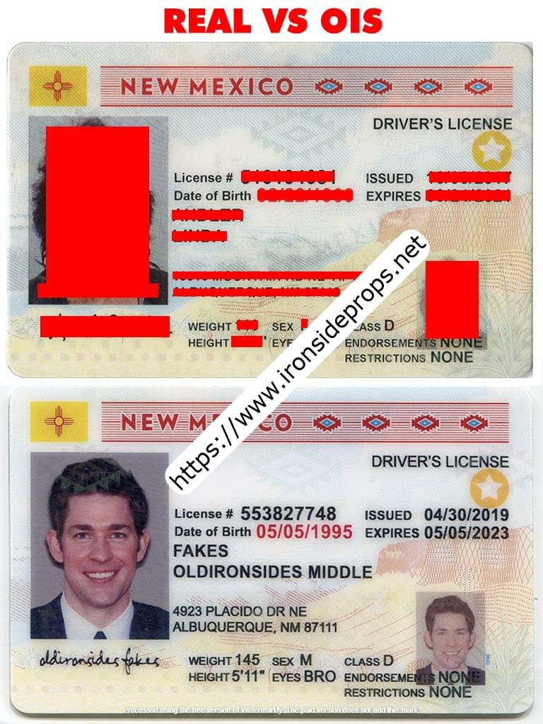 New Mexico Driver License (NM)