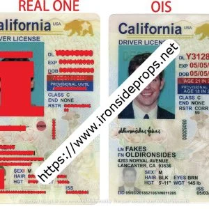California Driver License(New CA U21)